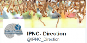 ipnctwitter